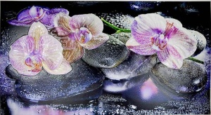 фото Фартук-панно Грейс Орхидеи на камне (1002*602*4 мм)