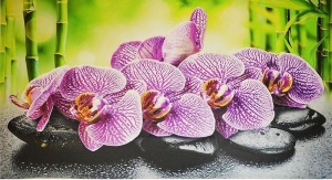 фото Фартук-панно Грейс Орхидея Ванда (1002*602*4 мм)
